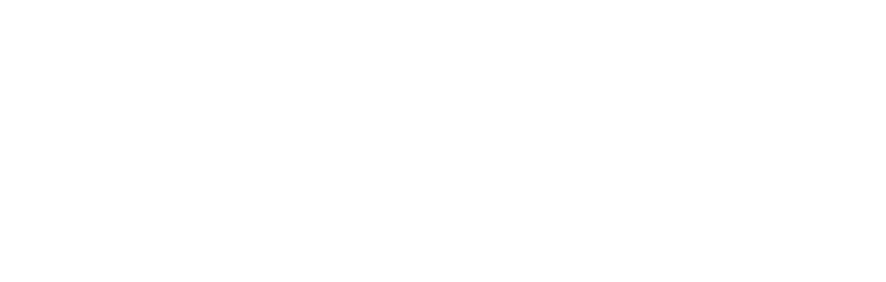 Monetize 2018! Logo